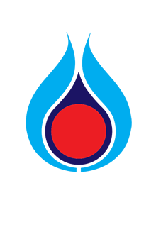 PTT Digital Solutions Company Limited logo